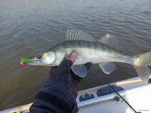 IMG_20200409_091257.jpg
