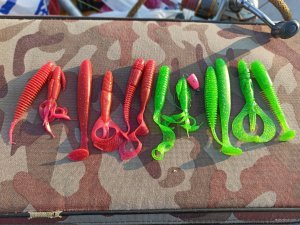 IMG_20200409_071720.jpg