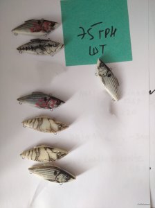 IMG_20200414_094956.jpg