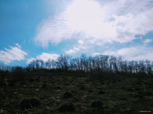 IMG_20200416_143517.jpg