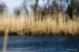 IMG_2263.jpg