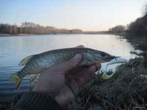 IMG_2501.JPG