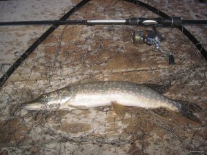 IMG_2504.JPG