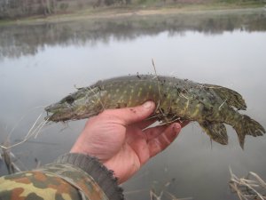 IMG_2511.JPG