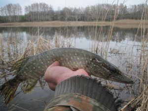 IMG_2518.JPG