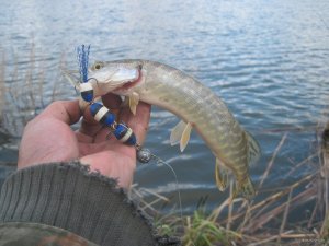 IMG_2544.JPG