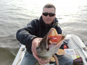 IMG_20200417_074604.jpg