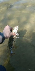 Screenshot_2020-04-23-22-29-18-101_com.miui.videoplayer.jpg