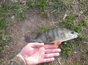 IMG_20200425_092130.jpg