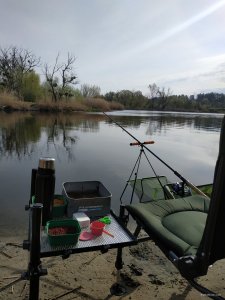 IMG_20200425_082608.jpg