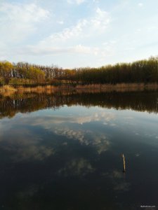 IMG_20200426_194405.jpg