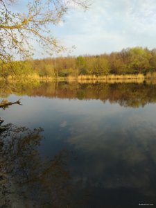 IMG_20200426_065225.jpg