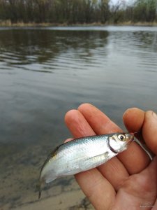 IMG_20200426_125114.jpg