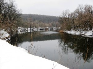 IMG_0736.JPG