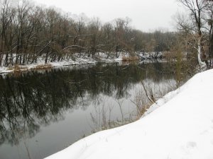 IMG_0737.JPG