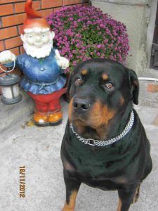 IMG_0408.JPG