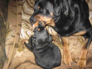 IMG_0411.JPG