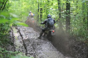 IMG_2649.JPG