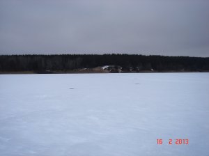 14.JPG