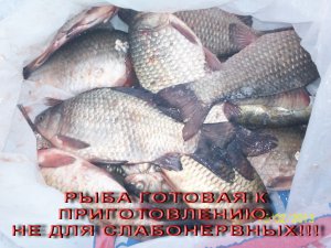 100_2492-1.jpg