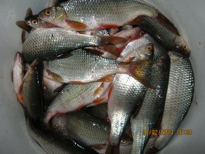 IMG_2562.JPG
