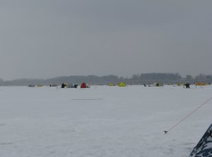 IMG_8778.JPG