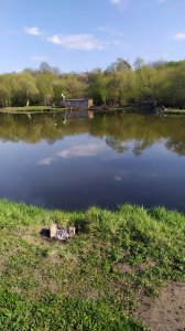 IMG_20200430_164729.jpg