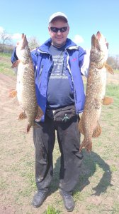 IMG_20200501_134647.jpg