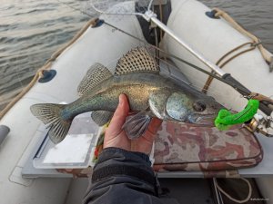 IMG_20200426_061445.jpg