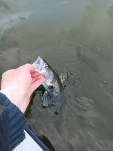 IMG_20200426_061459.jpg