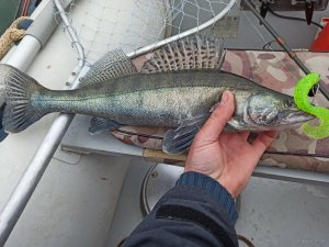 IMG_20200426_113154.jpg