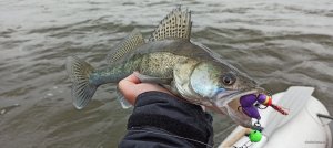 IMG_20200426_192757.jpg