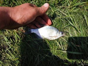 IMG_20200502_112402.jpg