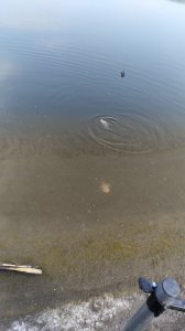 IMG_20200502_102146.jpg