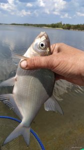 IMG_20200502_115730.jpg