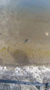 IMG_20200502_102323.jpg