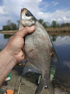IMG_20200502_133507.jpg