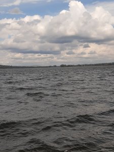20200503_154759.jpg