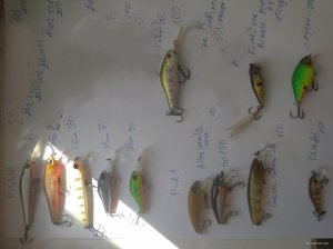 IMG_20200420_122051.jpg
