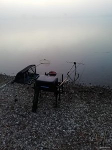 IMG_20200502_051818.jpg