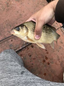 36EDD082-1B19-4AE2-A95D-CD88383C377C.jpeg