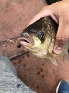 698916E5-3126-44AB-BE90-4D31B1DA4D91.jpeg