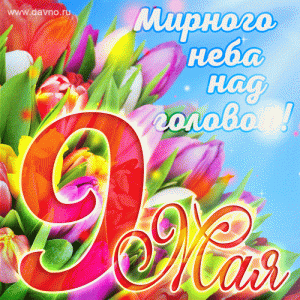 9may-206.gif