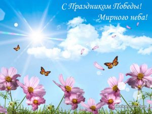 IMG-1dda0d3a23c4bbc7264e4fefe1bcc7a0-V.jpg