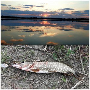 CollageMaker_20200507_214027657.jpg