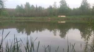 20200509_064935.jpg