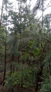 P00507-063015[1].jpg