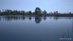 IMG_20200511_100508.jpg