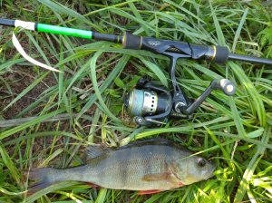 IMG_20200512_072223_1.jpg