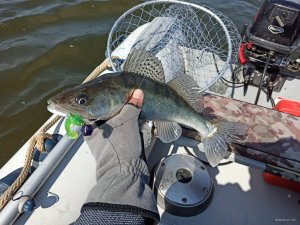 IMG_20200430_142310.jpg